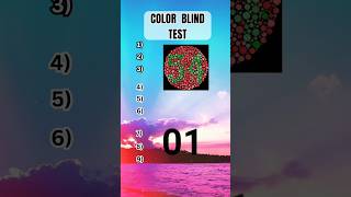 COLOR BLIND TEST  Colour Vision Test colorblind colorblindness colourvision colors test quiz [upl. by Murdocca]