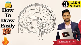 How to draw Human Brain step by step for Beginners [upl. by Liamsi]