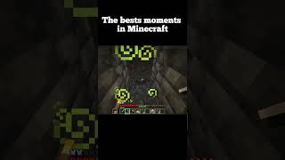 Minecraft meme minecraftmemes minecraft minecraftshorts [upl. by Aleron534]