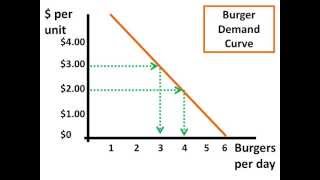 OwnPrice Elasticity of Demand [upl. by Xever]