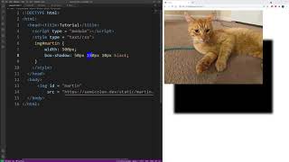 CSS how to add drop shadow to images box shadow [upl. by Eleanor]