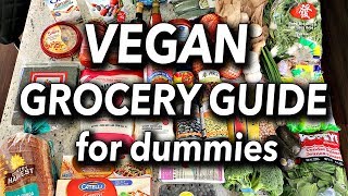 BUDGET FRIENDLY VEGAN GROCERY GUIDE FOR BEGINNERS  Vegan Grocery Haul [upl. by Keiko]