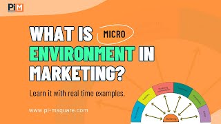 What is Micro Environment In Marketing Marketing Environment  PiMSquare Academy [upl. by Aramoiz]