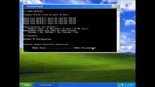 Howto Ping IP Address and Check DNS Settings  StepbyStep Guide computerbasics cmd [upl. by Enyrehtac]