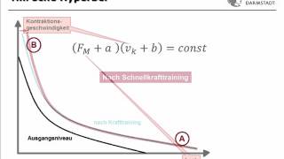 IfSTUD Wiki MUS3 KraftGeschwindigkeitsRelation [upl. by Volpe]