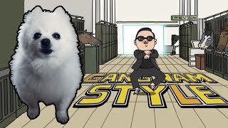 PSY  GANGNAM STYLE em CACHORRÊS  NOSTALGIA [upl. by Oicram552]