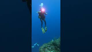 Scuba Diving Bears Den in Roatan Honduras [upl. by Intisar909]