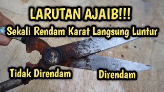 Cara Mudah Menghilangkan karat pada besi  Ide Kreatif [upl. by Natalya]