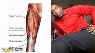 VASTUS LATERALIS RELEASE  avoid and overcome knee pain [upl. by Nairrad]