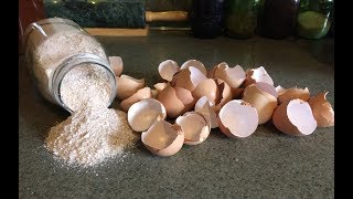 Health Benefits of Egg Shells [upl. by Lumbye]