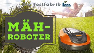 🏡 Mähroboter Test 2024 – 🏆 Der beste Rasenroboter [upl. by Badr308]