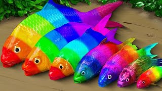 Cartoon Stop Motion ASMR  Believe This Fishing Big Red fish Carp eel videos Mudfish Cooking [upl. by Abrahan]