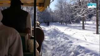 Winterwandern Bayern Deutschand Pferdeschlittenfahrt zur Wildfütterung im Nationalpark Berchtsgaden [upl. by Anehsak865]