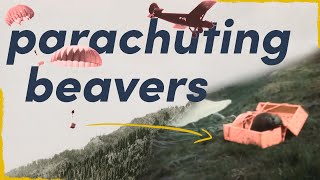 They Parachuted Beavers in the 1940s  here’s why [upl. by Sparkie]