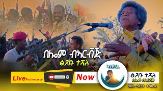 ፅጋቡ ተሻለ  በሎም ብኣርቭጅ  New Tigrigna Music  Tsigabu Teshale live performance [upl. by Meuse]