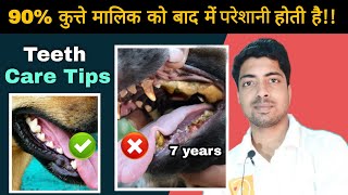 Three Pro tips to  Care dogs teeth Lifetime 🔥🔥 [upl. by Ikkir684]