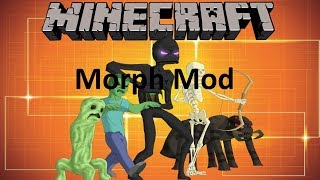 MORPH MOD  MINECRAFT 1122 MOD SHOWCASE [upl. by Phillipe]