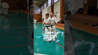 ENPI training Kata 🥋 karate karatedo karatetradizionale martialarts training lapagliasensei [upl. by Eixid923]