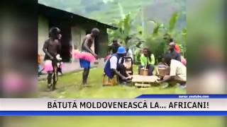 BATUTA MOLDOVENEASCA LA AFRICANI [upl. by Akialam]