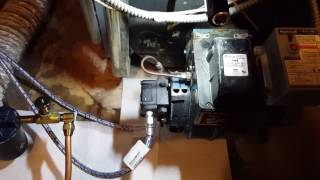 Tigerloop Oil Deaerator Install on Boiler [upl. by Morten448]