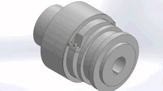 Mechanisch betätigte Lamellenkupplung Simulation Schaltung [upl. by Steffen]