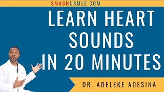 How to listen to heart sounds in 20 MINUTES What You Need to KNOW [upl. by Anthe]