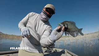 SLABBOSS  LAKE ROOSEVELT CRAPPIE CATCH COMPILATION [upl. by Gasser]