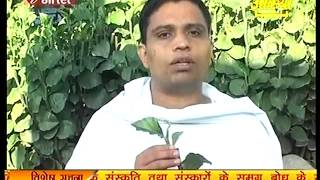 Ayurvedic Medicine Naagdon नागदोन Part 2 Acharya Balkrishna [upl. by Yelmene]