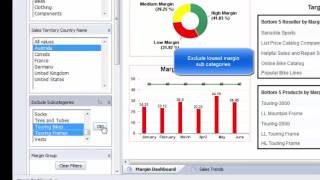 SAP Web Intelligence Advanced Analytic Series Dashboard Overview [upl. by Rebhun]