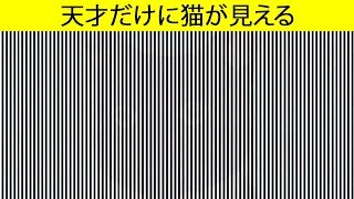 君の脳を始動させる楽しい目の錯覚特集 [upl. by Daveen]