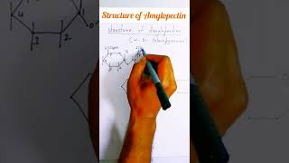 structure of Amylopectin starch [upl. by Odanref959]