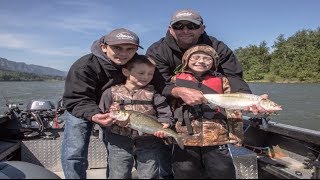 Lower Columbia River Salmon amp Shad [upl. by Atinhoj]