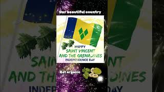 ST VINCENT amp THE GRENADINES INDEPENDENCE DAY happyindependenceday stvincentandthegrenadines fyp [upl. by Enitsed609]