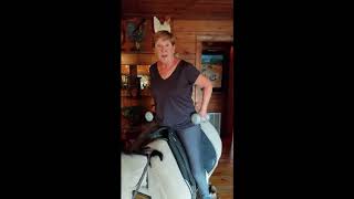 50 Plus Equestrian Upper Body Exercises 1 with the Equicizer [upl. by Fraase]