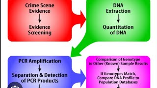 DNA Forensics An Overview of Evidence Law and Procedures [upl. by Firehs]