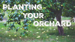 2 Ways to Grow an Orchard [upl. by Brest]