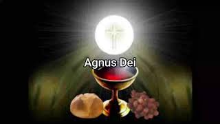 Agnus Dei with lyrics from Gregorian chant [upl. by Merrile]