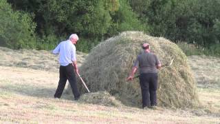 Making of Haycocks in the old way—Sheila Holahans Field Carrigallen Leitrim 1 July 2014 [upl. by Erb]