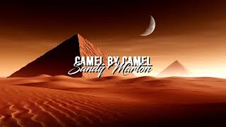 Sandy Marton  Camel by Camel Slowed [upl. by Meurer]