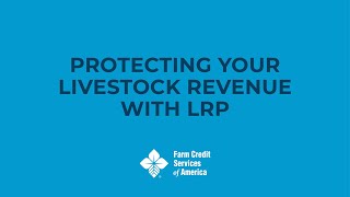 How Livestock Risk Protection LRP Works [upl. by Yolande]