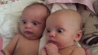 10 Beste Morsomme Baby Videoer 2015 [upl. by Nohsreg60]