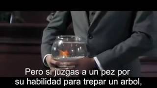 Video para reflexionar sobre la educación  prohibido no verlo [upl. by Meit529]