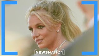 Britney Spears conservatorship was a total setup Former security adviser  Banfield [upl. by Htezil]