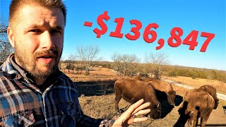 The REAL Cost to Raise BISON [upl. by Ellenet]