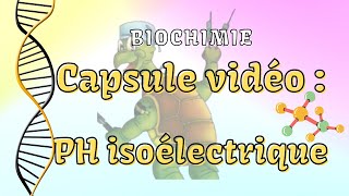 Biochimie rappel ph isoélectrique  Capsule vidéo [upl. by Kavanaugh]