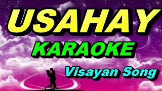 USAHAY KARAOKE  Visayan Song [upl. by Aivilo]