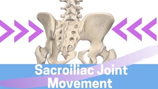 Sacroiliac Joint Movement Nutation II Counternutation II Sacral Torsion II Iliac Torsion [upl. by Lemuel575]