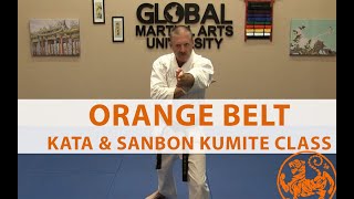 Shotokan Karate  7th Kyu Orange  Kata  Sanbon Kumite Class [upl. by Dich610]