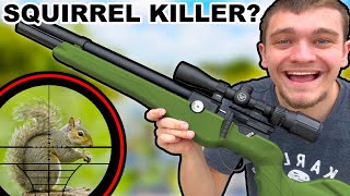 Ultimate Squirrel Hunting Airgun Scope Cam [upl. by Takeshi]