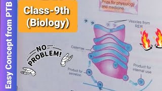 Golgi Apparatus  Concept of Golgi Complex  Biology  Class 9th [upl. by Asilehs]